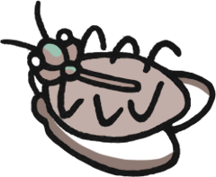 光宗薫LINEスタンプ